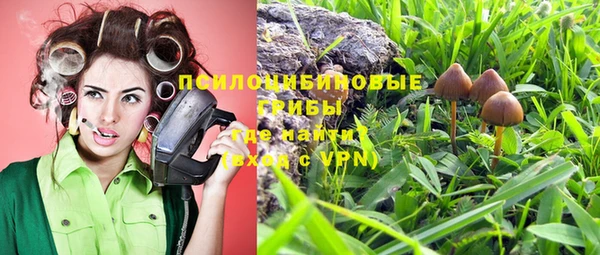 прущие крисы Аркадак